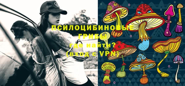 эйфоретик Магас